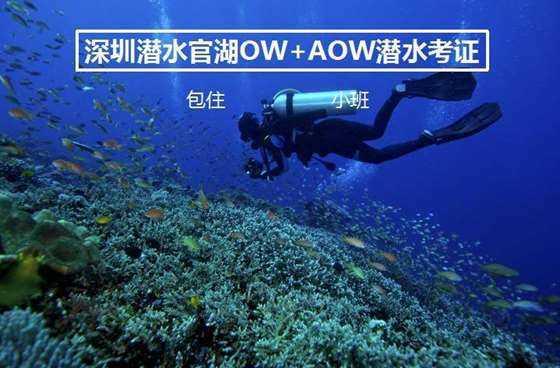 一冷漠或拒绝朋友就报复我怎么办？游戏画面